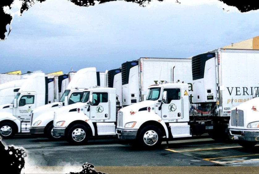 Hiring refrigerated transport in Abu Dhabi