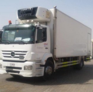 Dubai Truck fleet vehicle 5