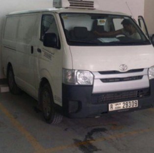Dubai Truck fleet vehicle 7